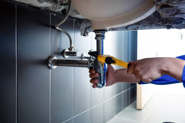 Best Drain Cleaning & Maintenance in Neillsville, WI